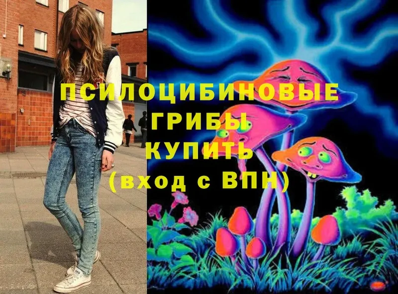 даркнет сайт  Семикаракорск  это как зайти  Псилоцибиновые грибы Psilocybine cubensis 