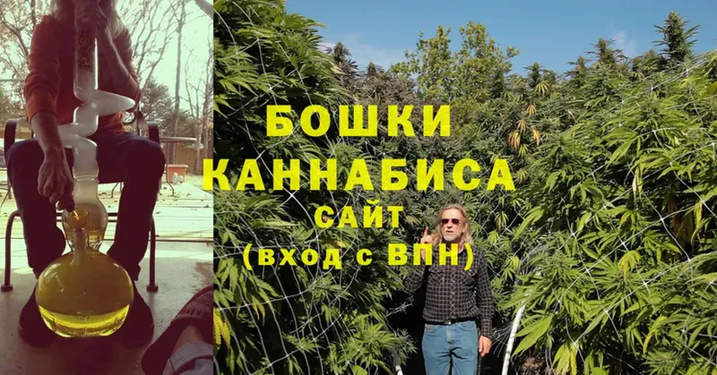 Шишки марихуана SATIVA & INDICA  OMG как войти  Семикаракорск 